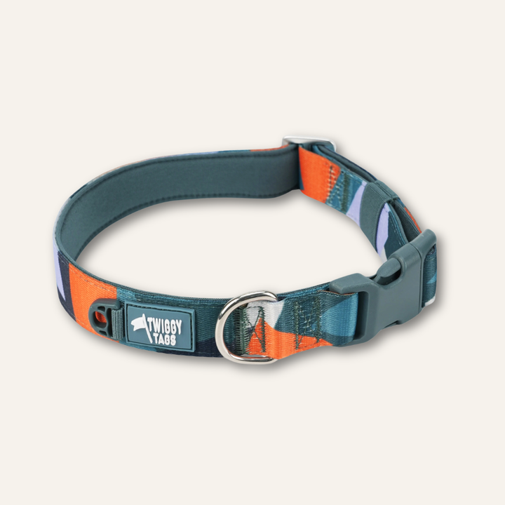 Comfort Collar