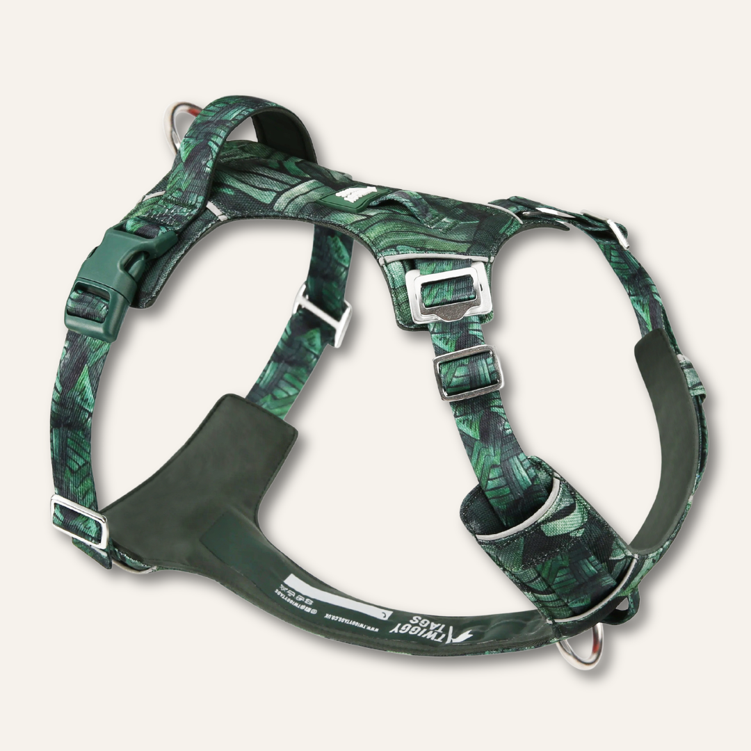 Adventure Harness