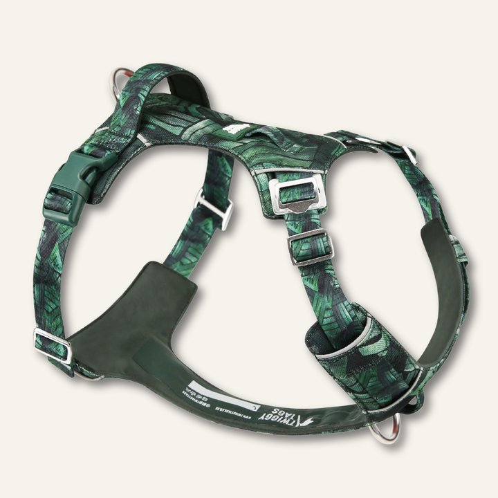 Adventure Harness