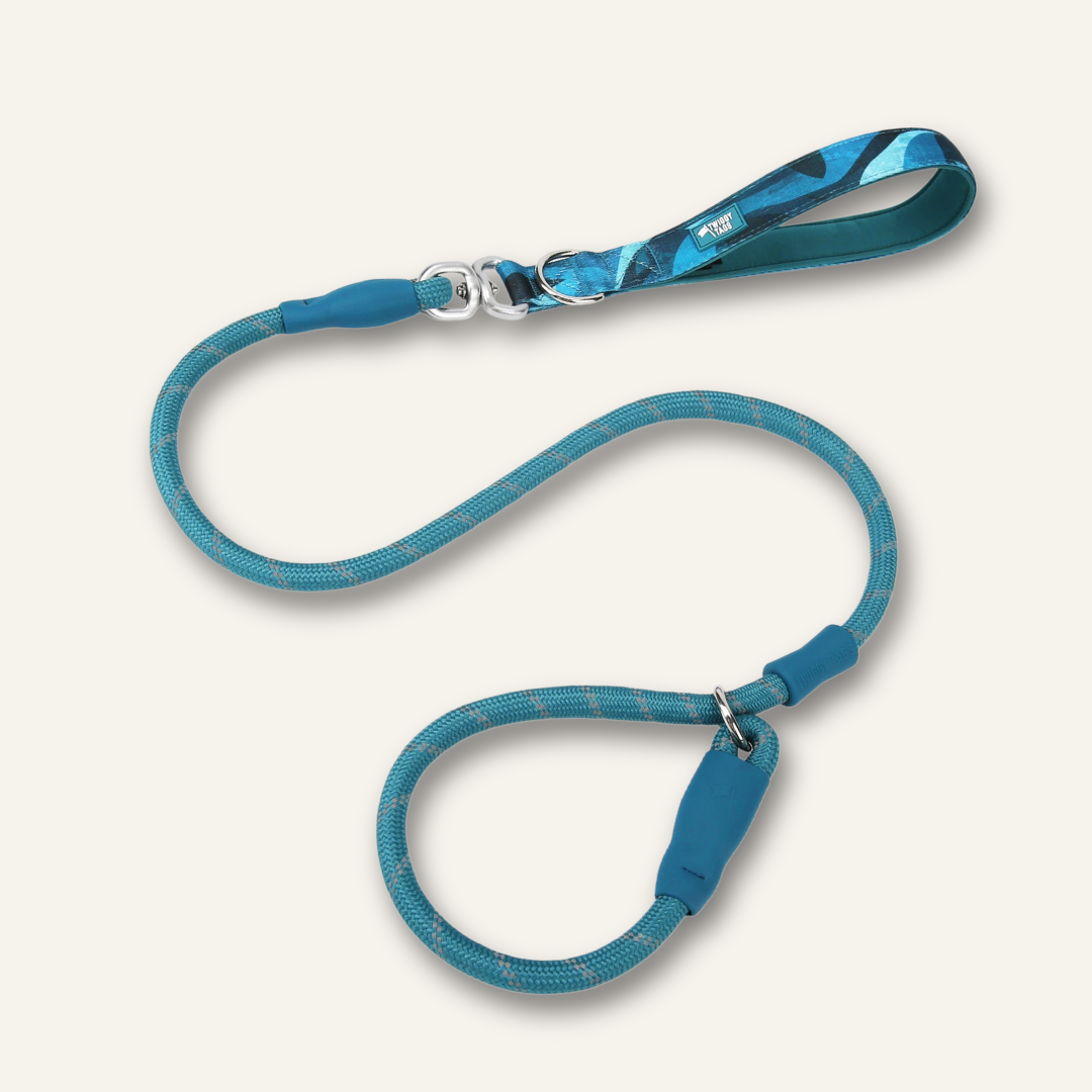 Slip Lead
