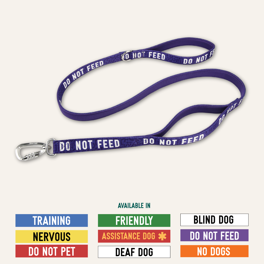 Awareness Close Control Lead