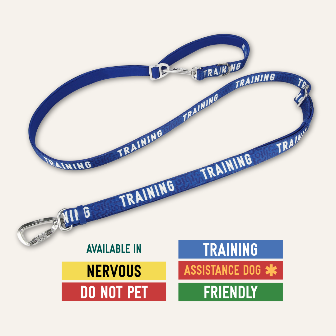 Awareness Multi-Way Lead