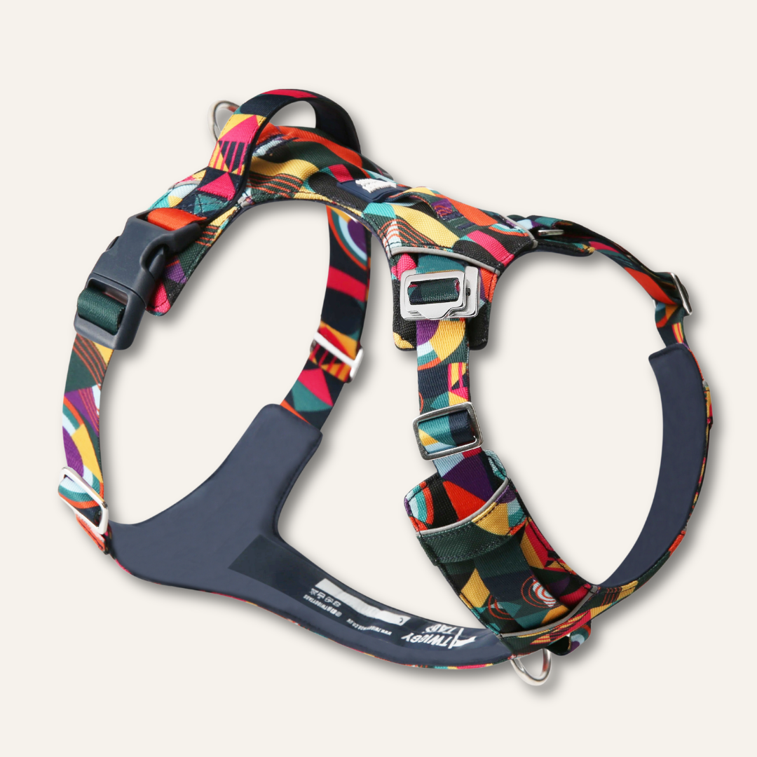 Adventure Harness
