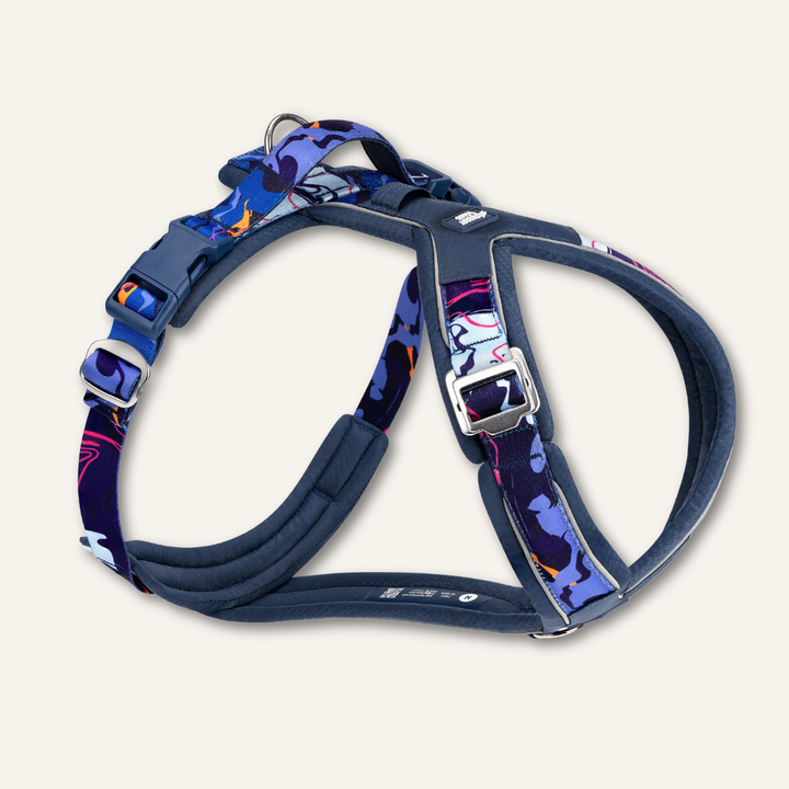 Apex® Harness - Nebula