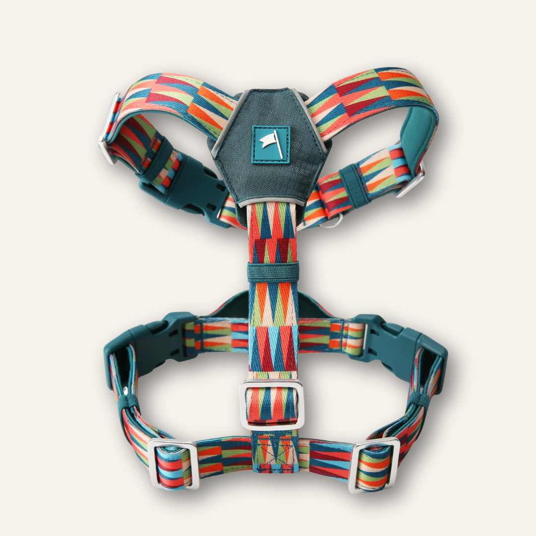Horizon Harness