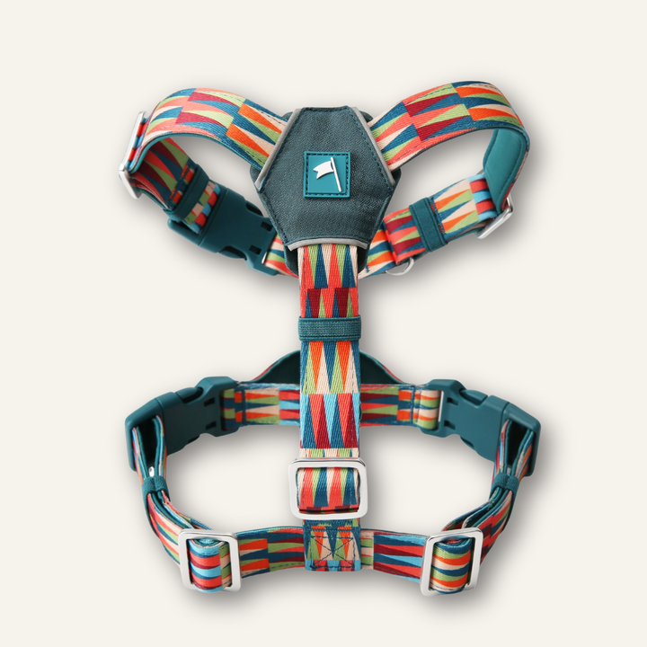 Horizon Harness