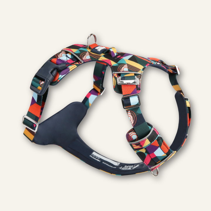 Lite Harness
