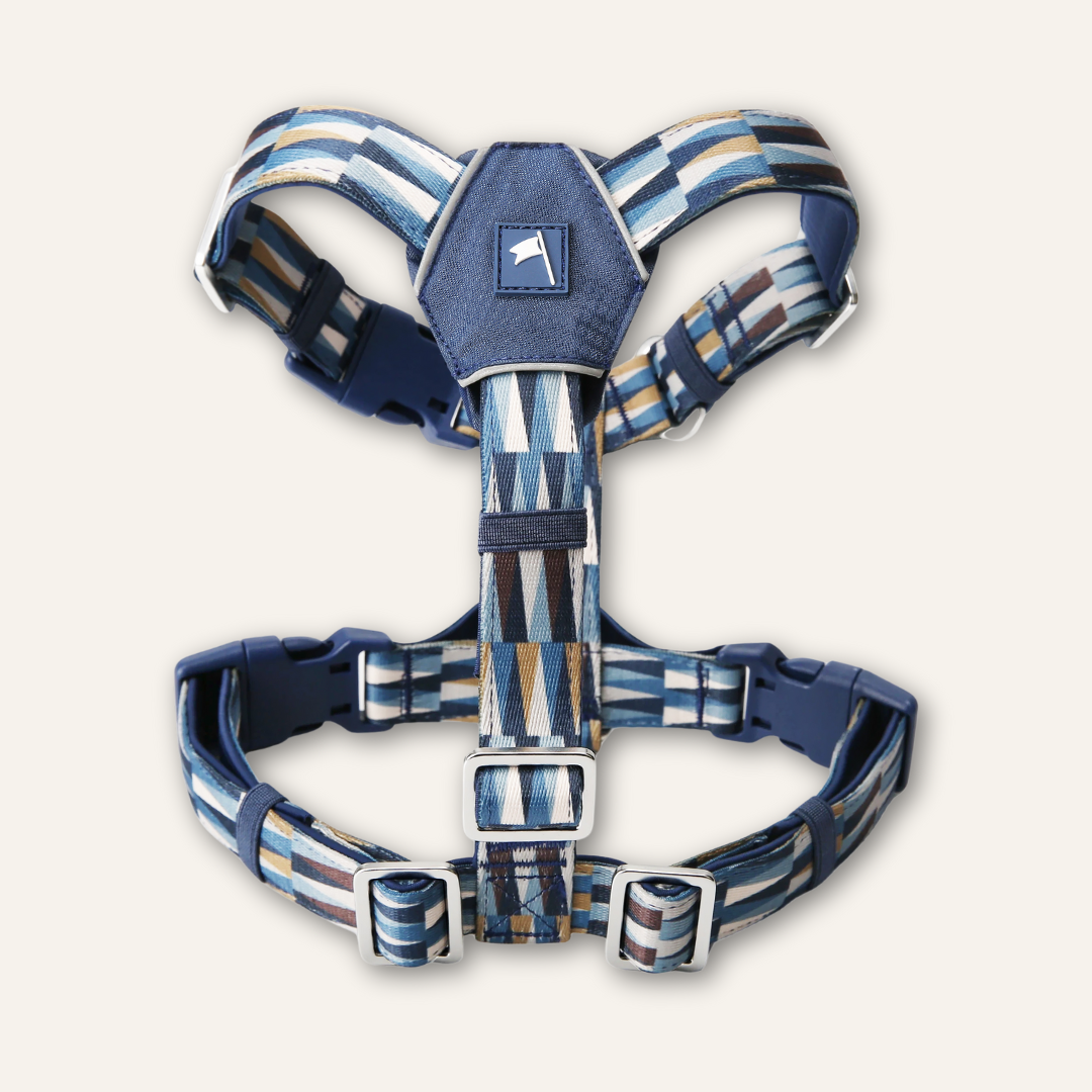 Horizon Harness