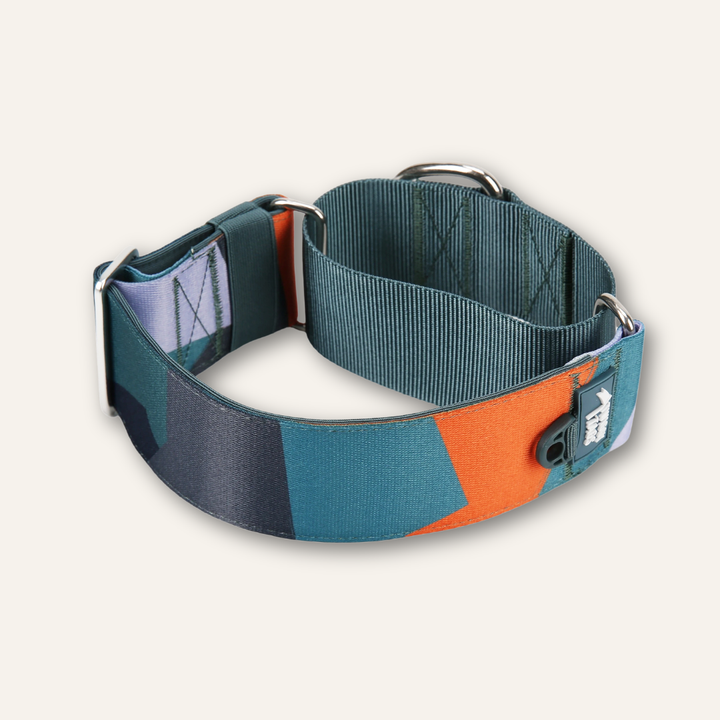 Martingale Collar