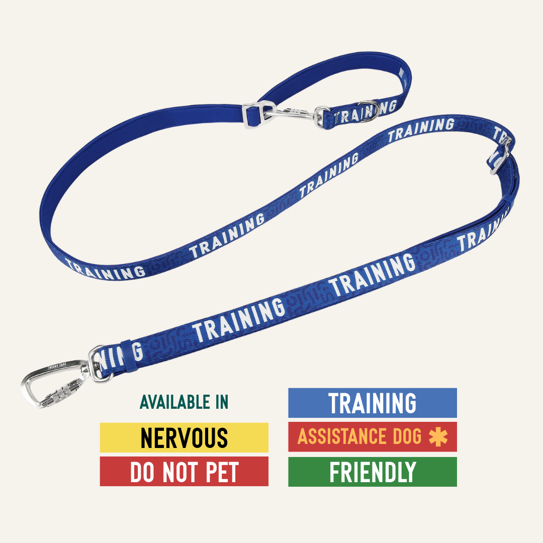 Awareness Multi-Way Lead