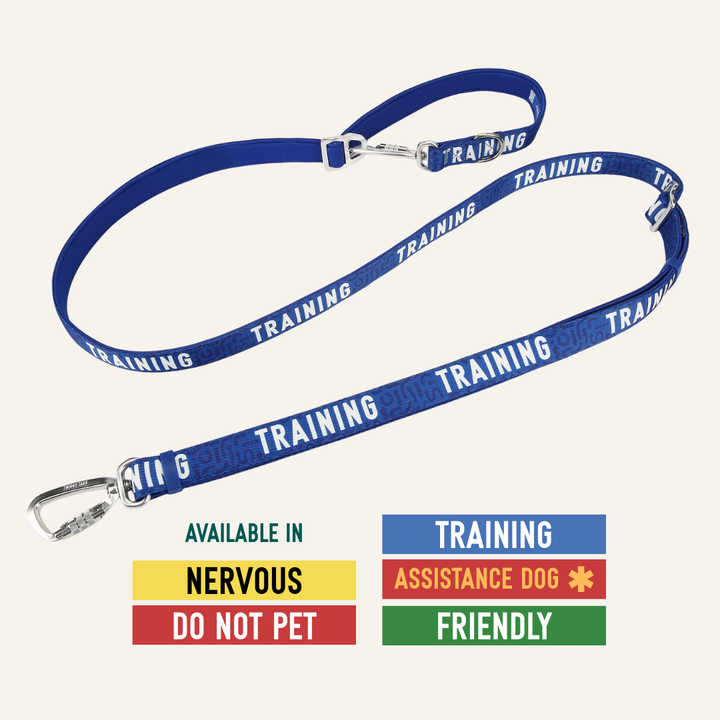 Awareness Multi-Way Lead