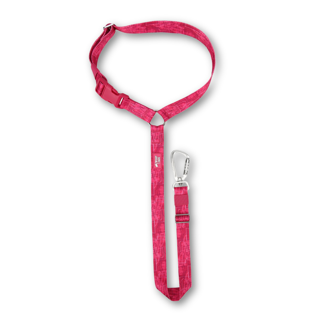 Headrest Seat Belt