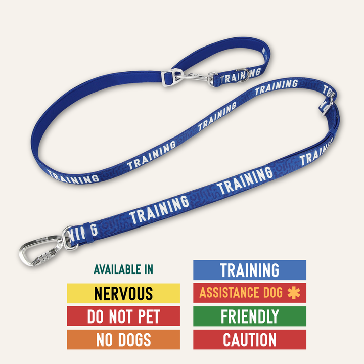 Awareness Multi-Way Lead