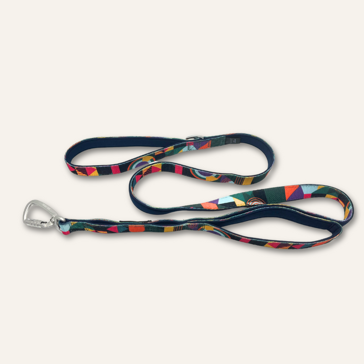 Adventure Close Control Lead - Aurora