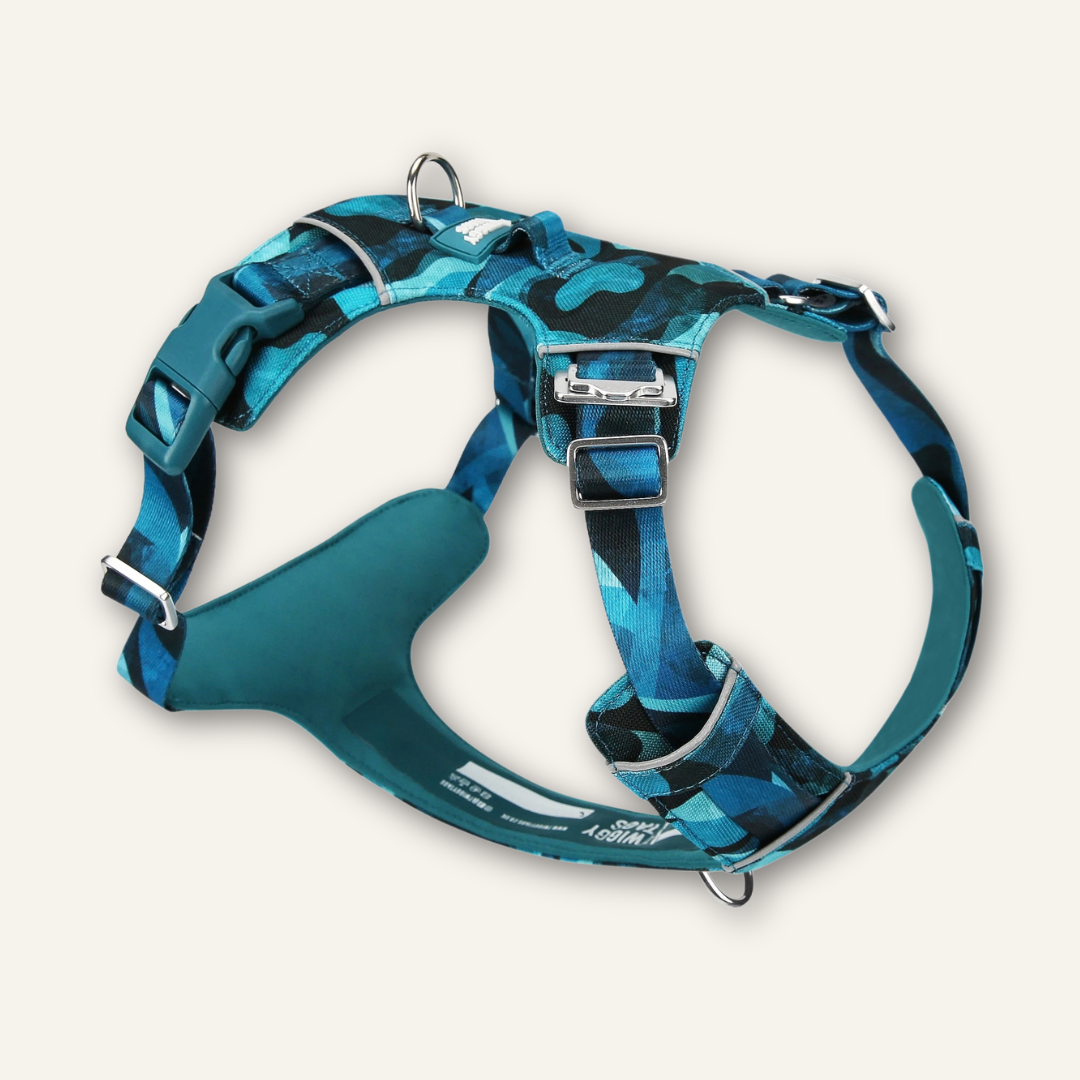 Lite Harness