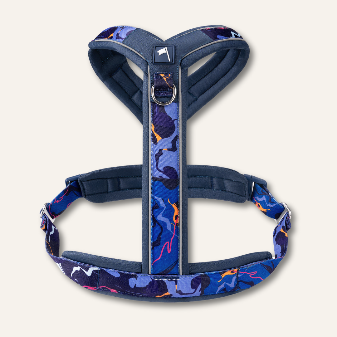 Apex® Harness - Nebula