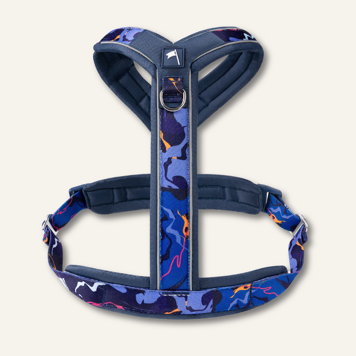 Apex® Harness - Nebula