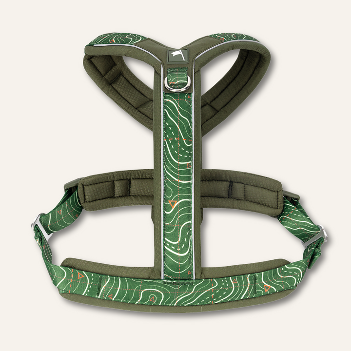 Apex® Harness - Nomad