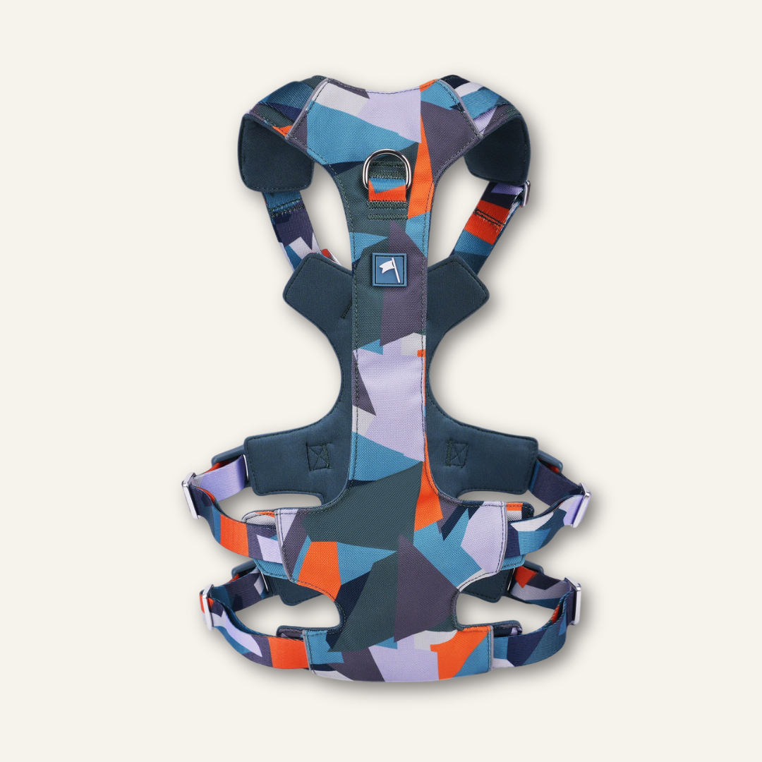 Scramble Harness