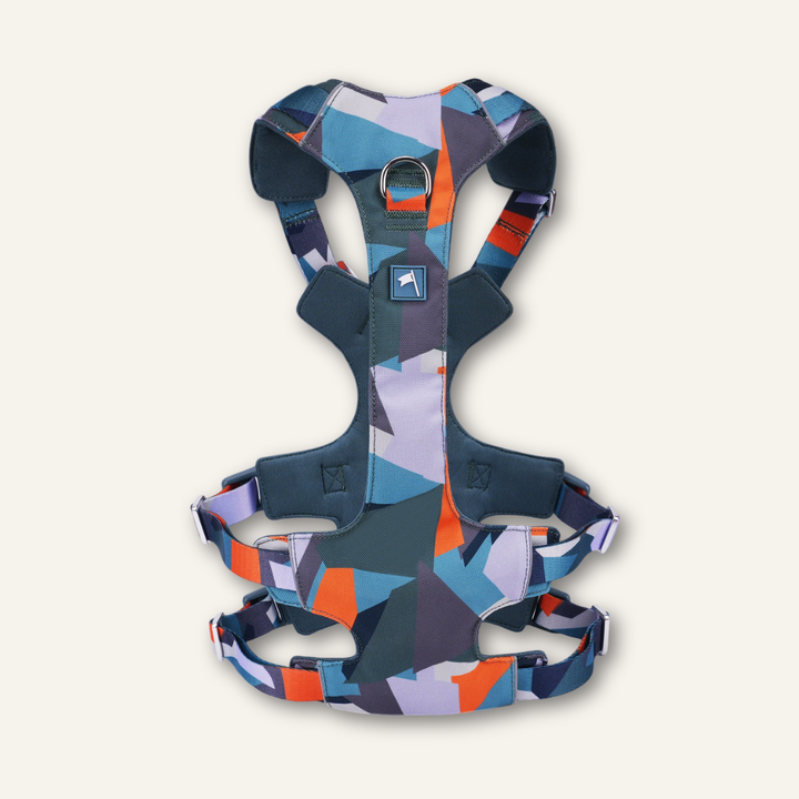 Scramble Harness