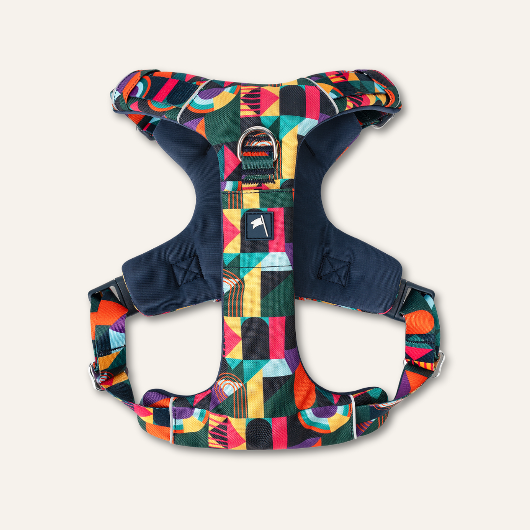 Adventure Harness 2.0 - Aurora