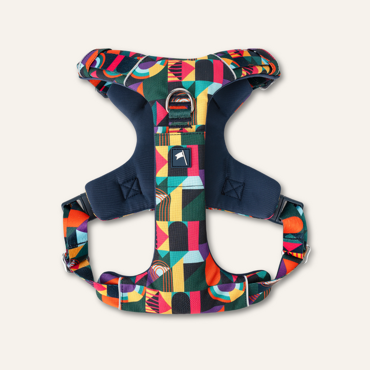 Adventure Harness 2.0 - Aurora