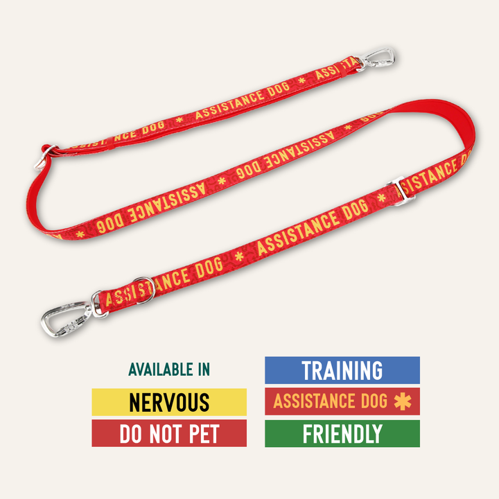 Awareness Multi-Way Lead