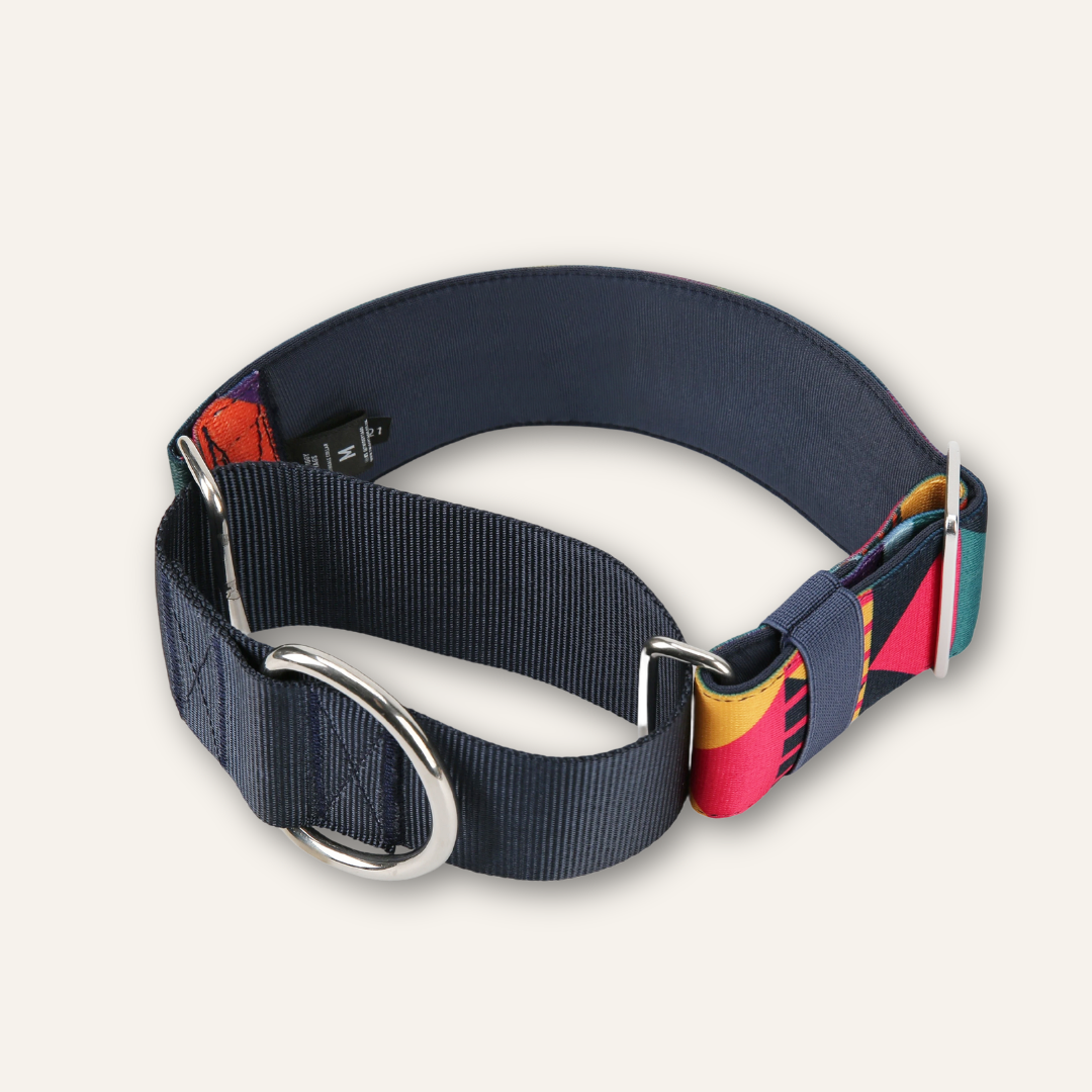 Martingale Collar