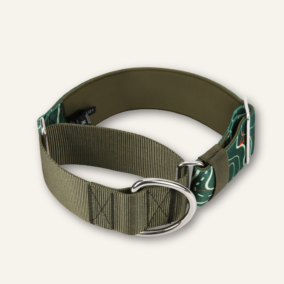 Martingale Collar