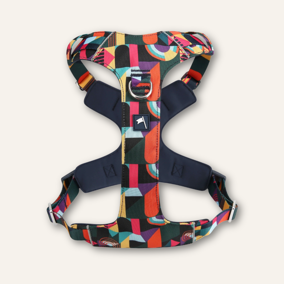 Lite Harness