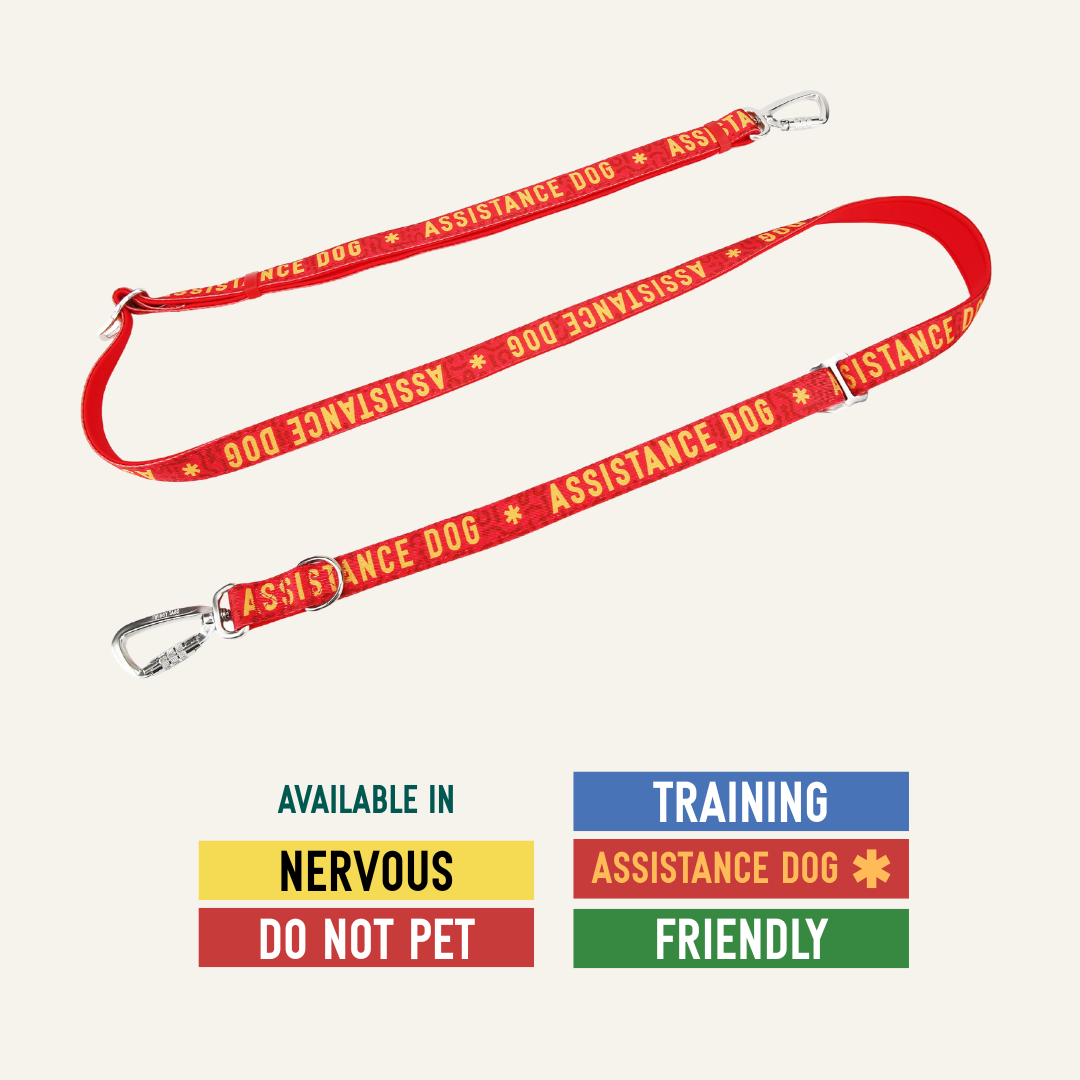 Awareness Multi-Way Lead