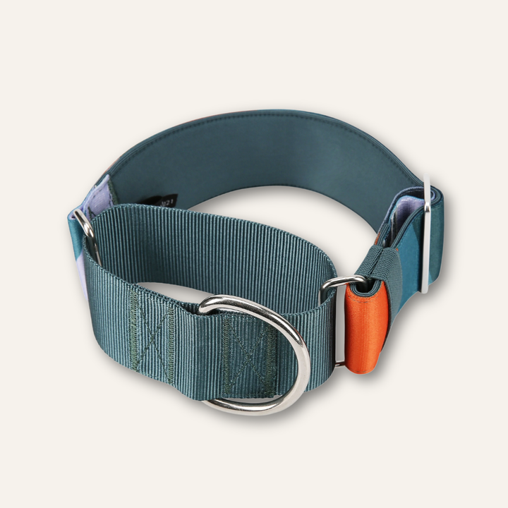 Martingale Collar