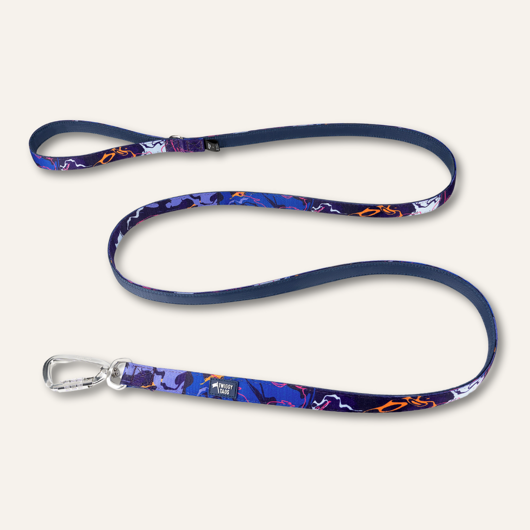 Apex® Lead - Nebula