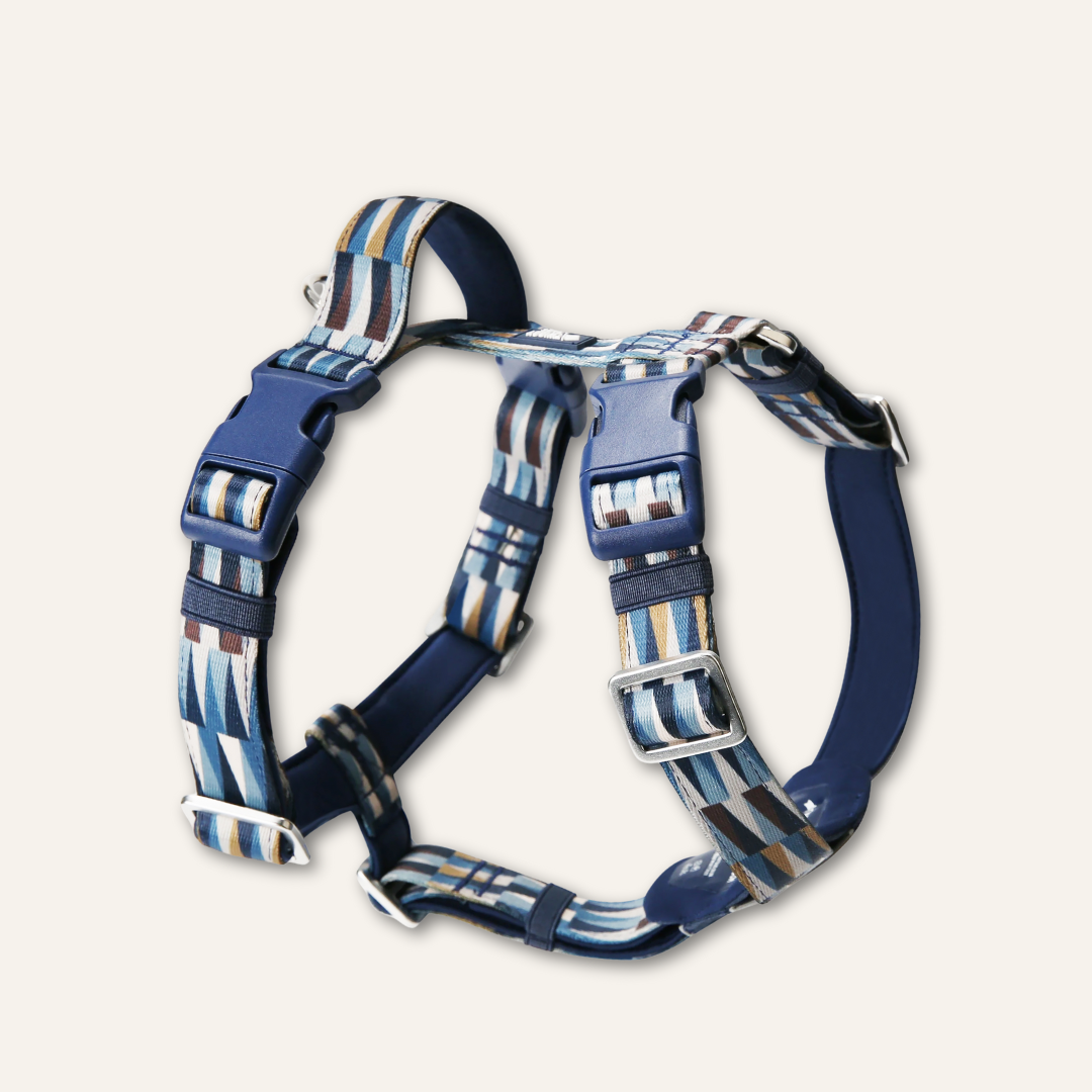 Horizon Harness
