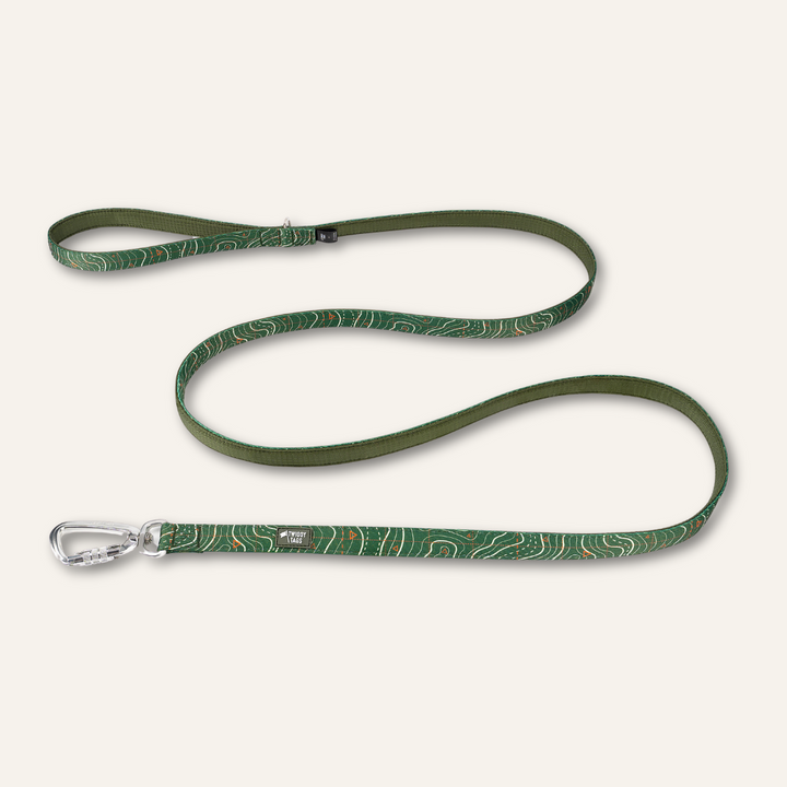 Apex® Lead - Nomad