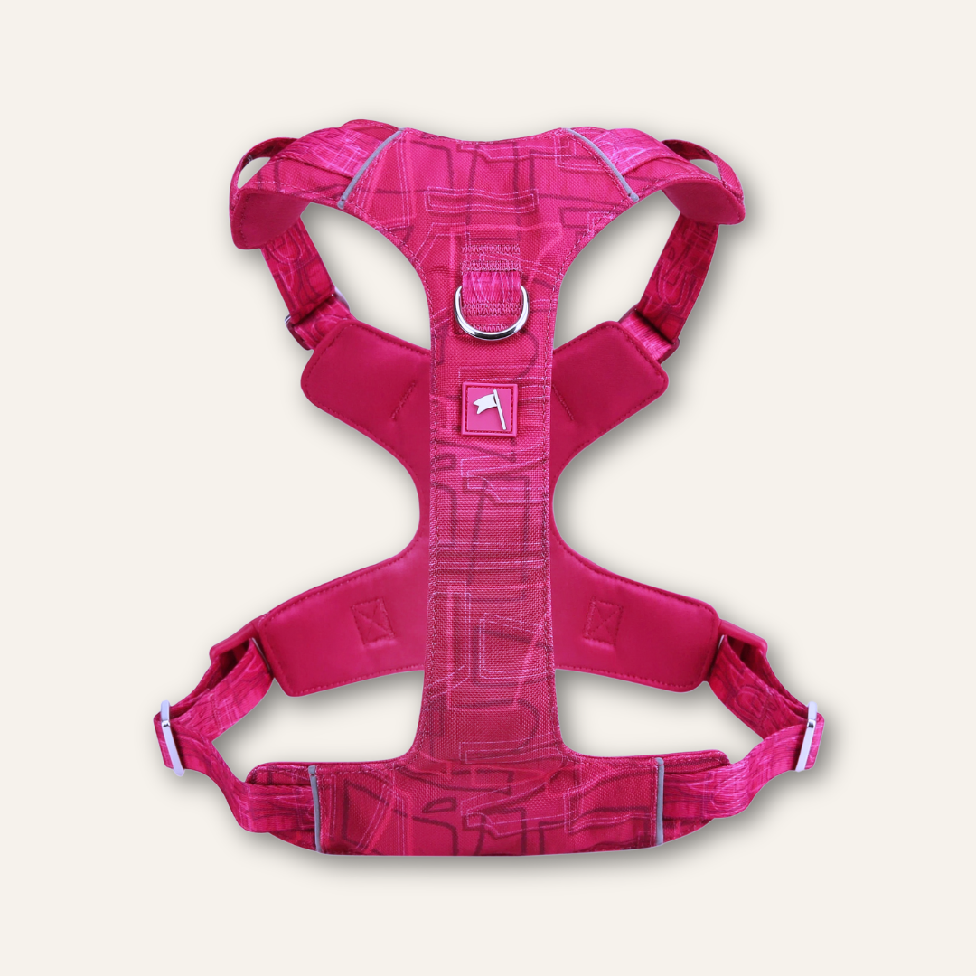 Adventure Harness Lite
