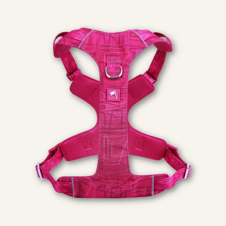 Adventure Harness Lite