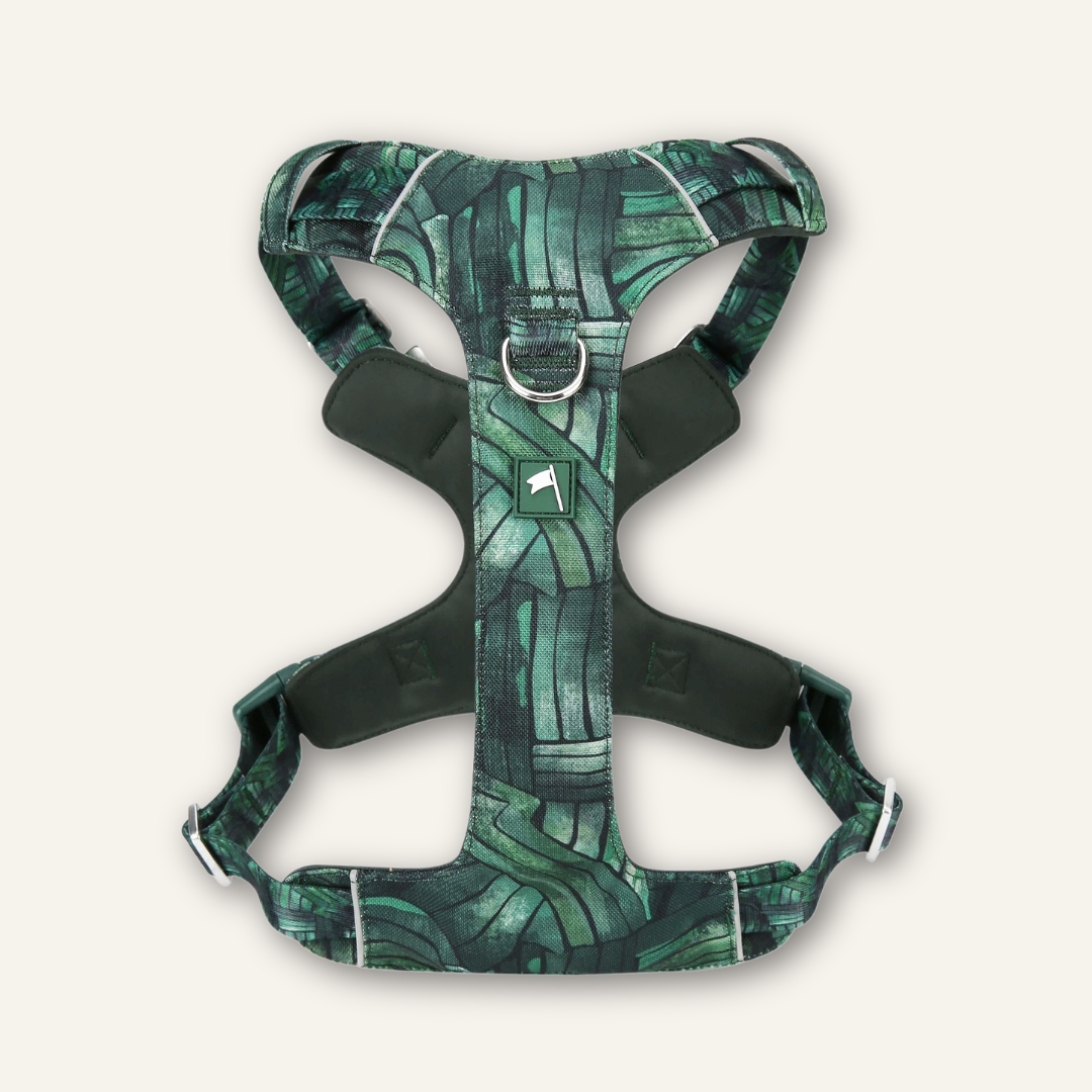 Adventure Harness Lite