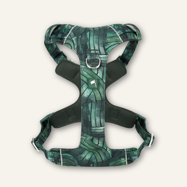 Adventure Harness Lite