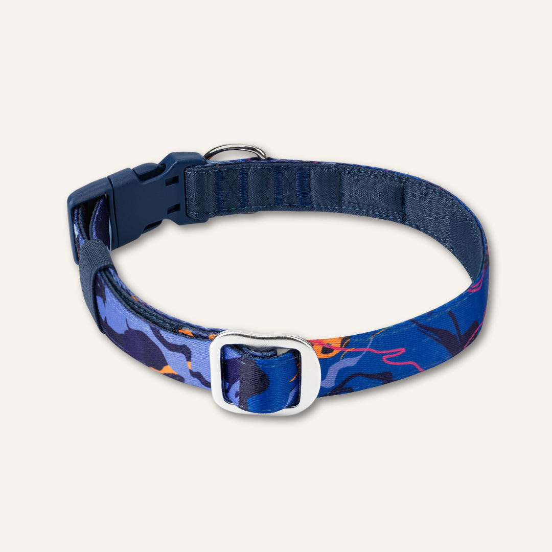 Apex® Collar - Nebula