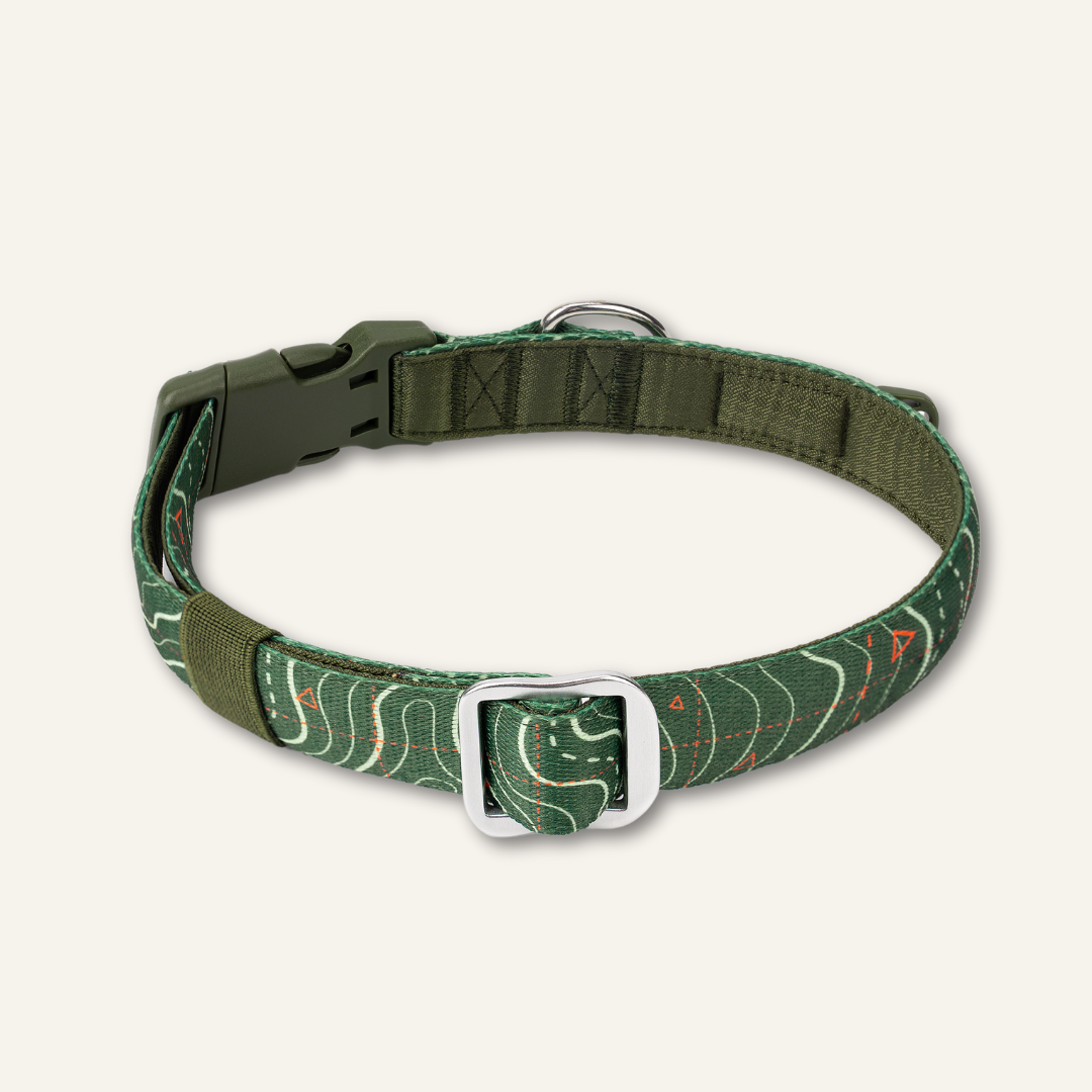 Apex® Collar - Nomad