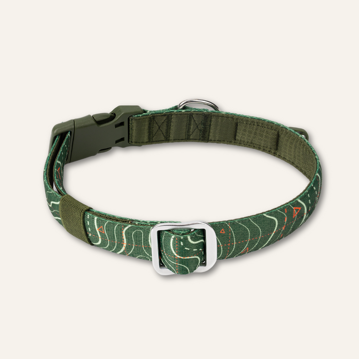 Apex® Collar - Nomad