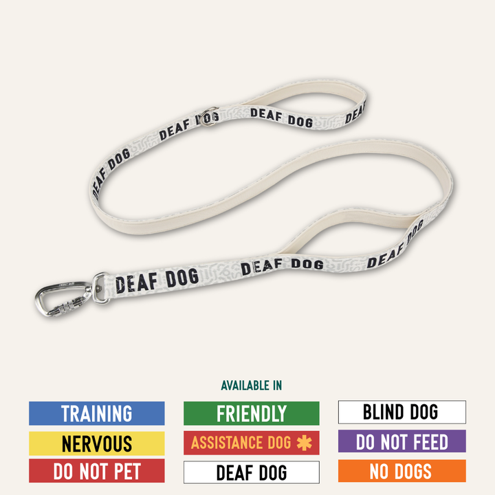 Awareness Close Control Lead