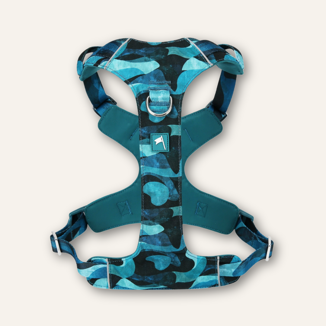 Lite Harness