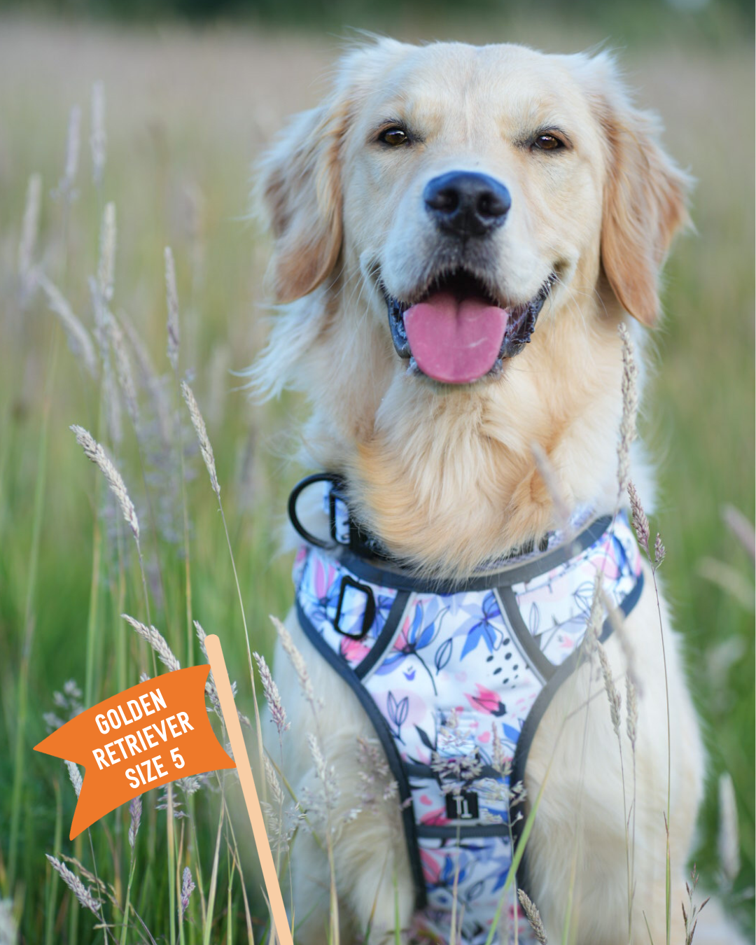 Adventure Harness - Blossom (Limited Edition)