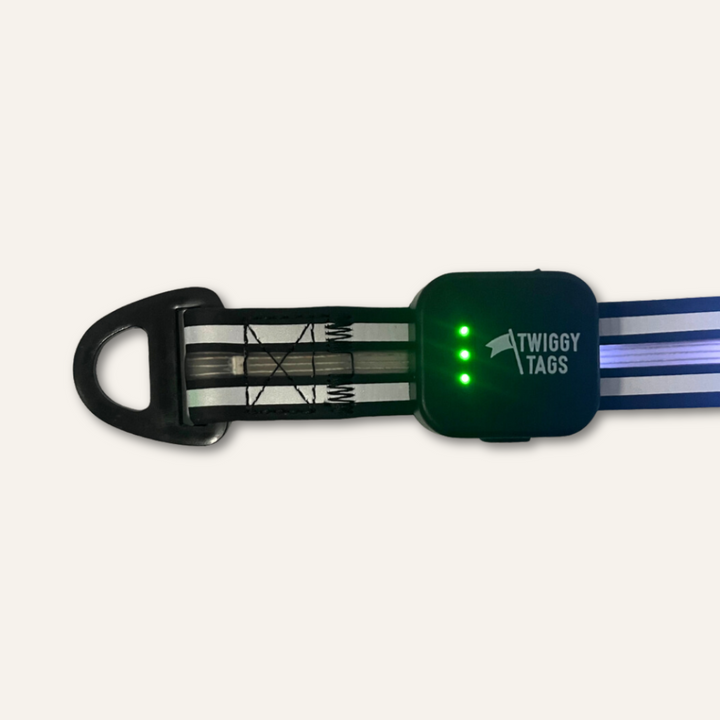 TrekBright™ Light-Up Lead Extension