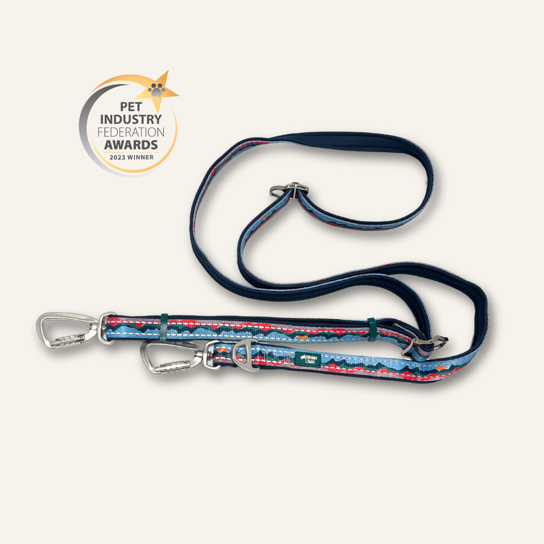 Multi-Way Lead
