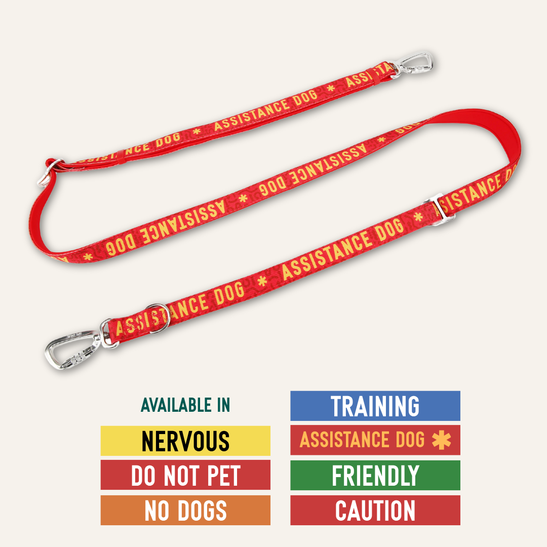 Awareness Multi-Way Lead