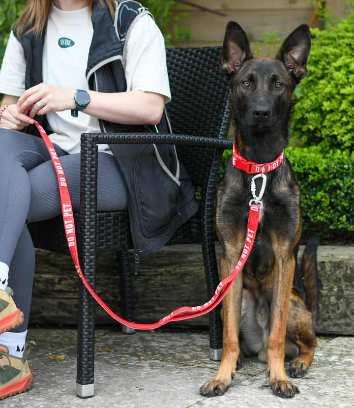 Awareness Close Control Lead