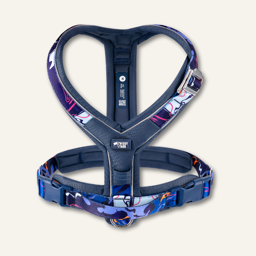 Apex® Harness - Nebula